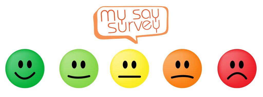 My Say Survey - Visitor Engagement and Surveys