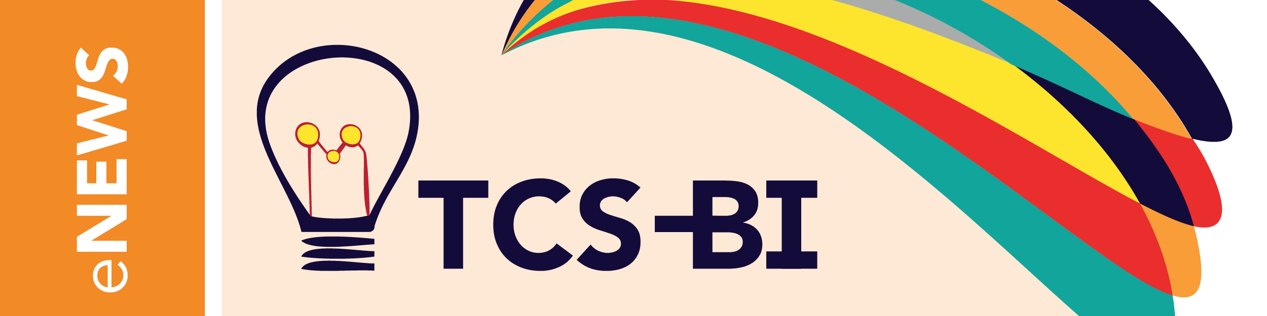 TCS BI – Who we are and what we do